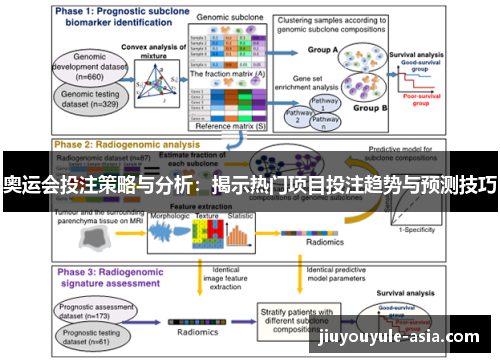 奥运会投注策略与分析：揭示热门项目投注趋势与预测技巧